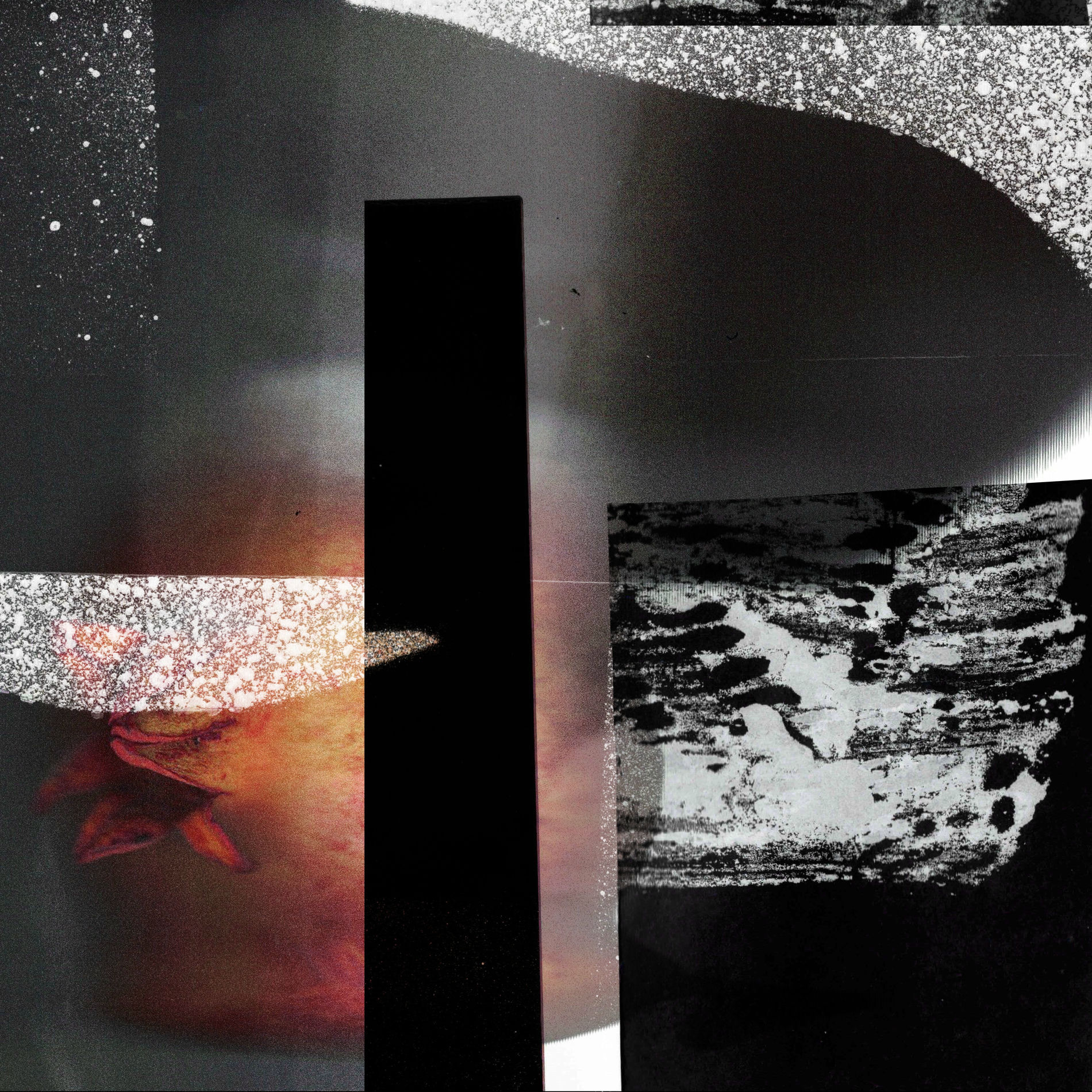Album cover of waltz of shadows