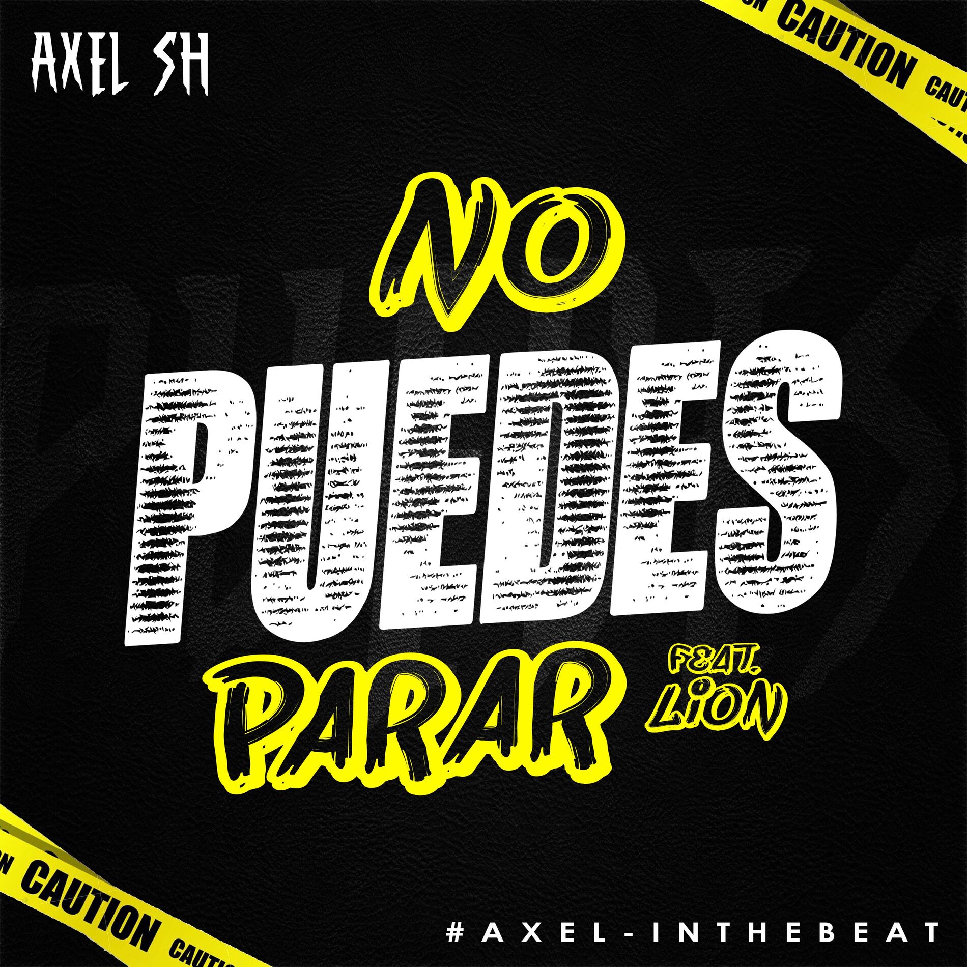 Album cover of No Puedes Parar