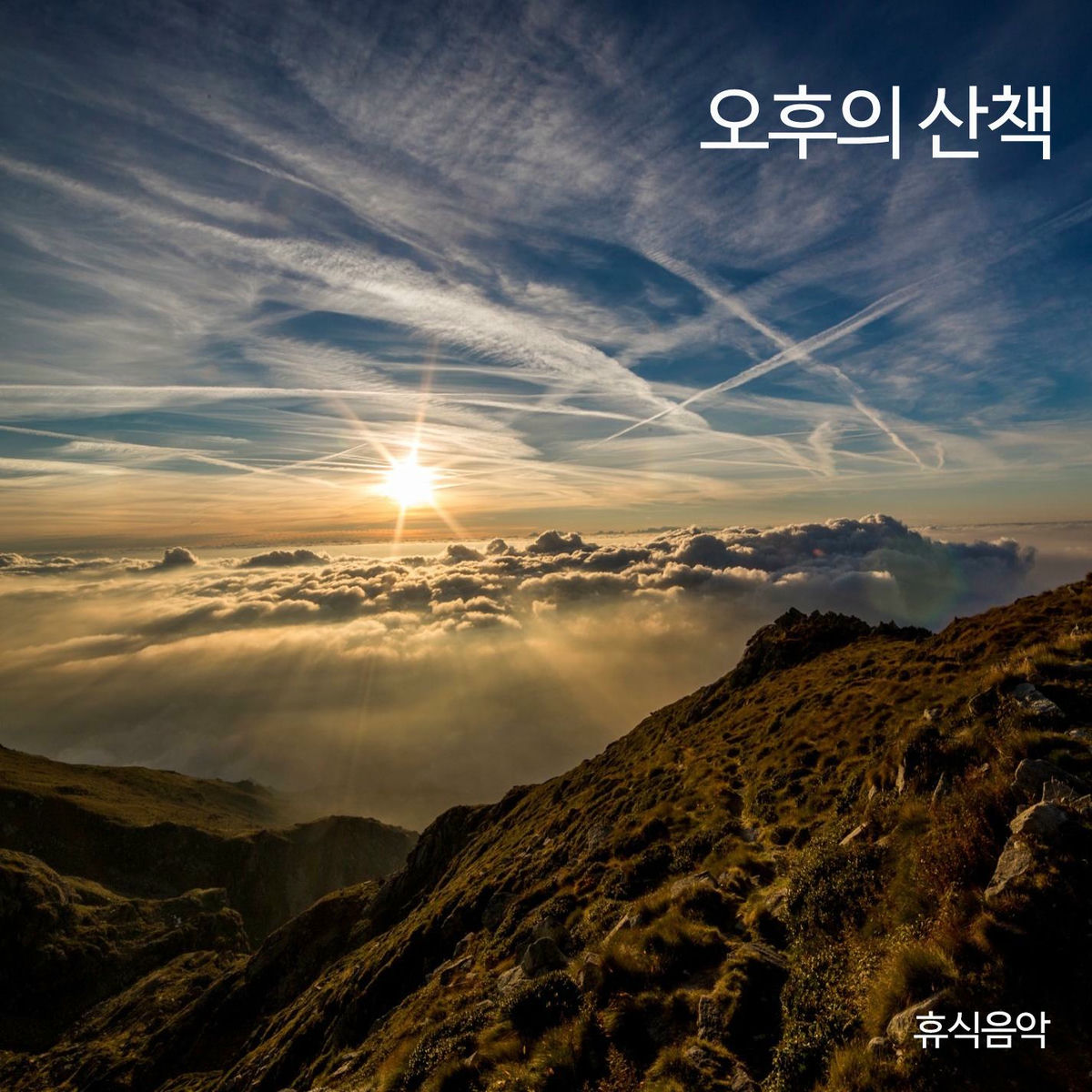 Album cover of Afternoon Walks