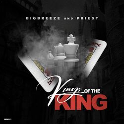 Cover of Kings of the King