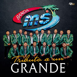 Cover of Tributo A Un Grande