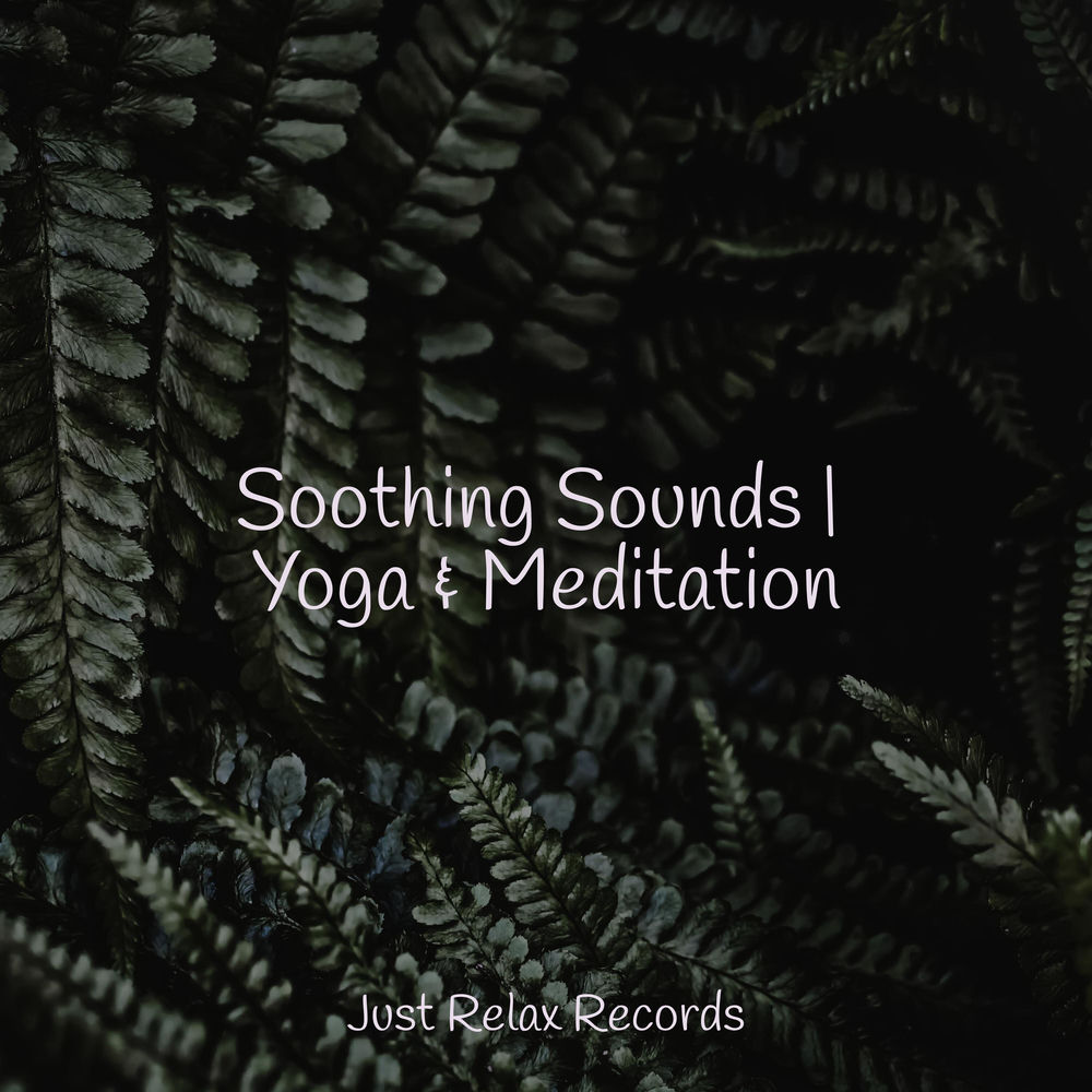 Soothing Sounds | Yoga & Meditation