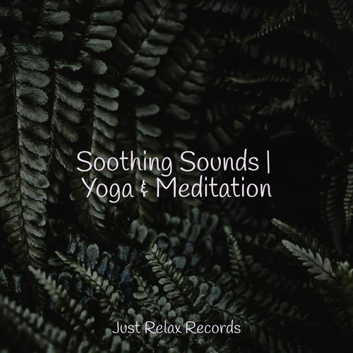 Soothing Sounds | Yoga & Meditation