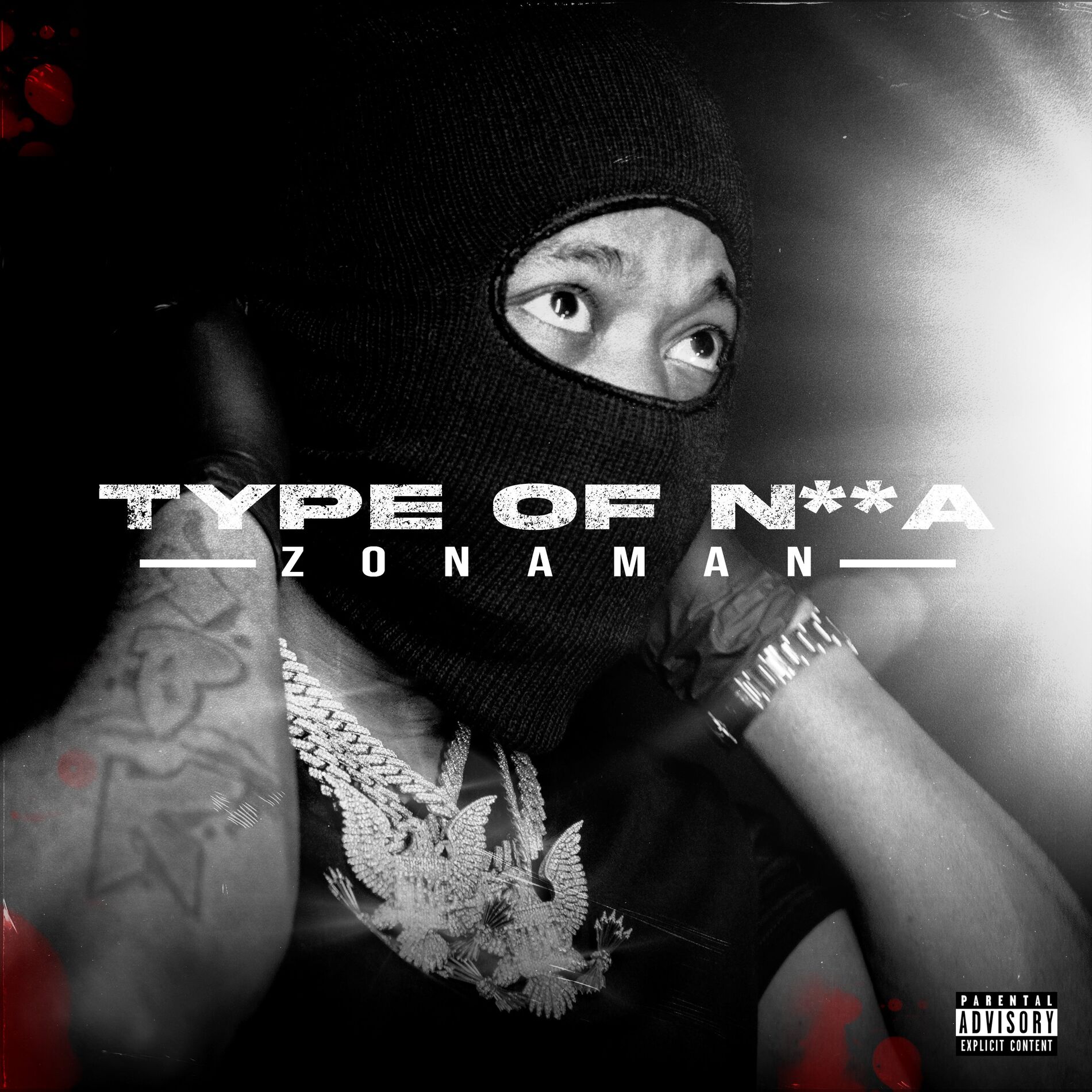 Album cover of Type of Nigga