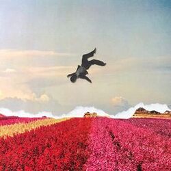 Cover of Cabernet