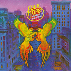 Cover of Night Lights Harmony