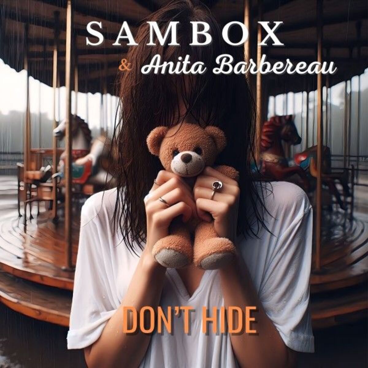 Album cover of Don't Hide