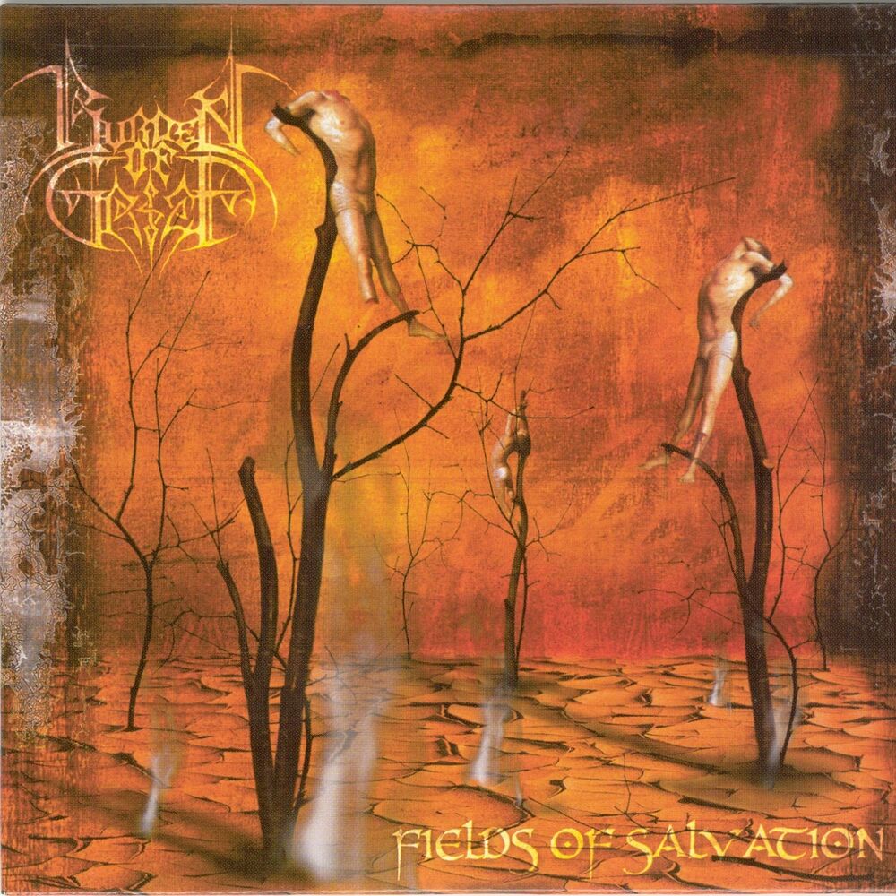 Picture of Fields of Salvation