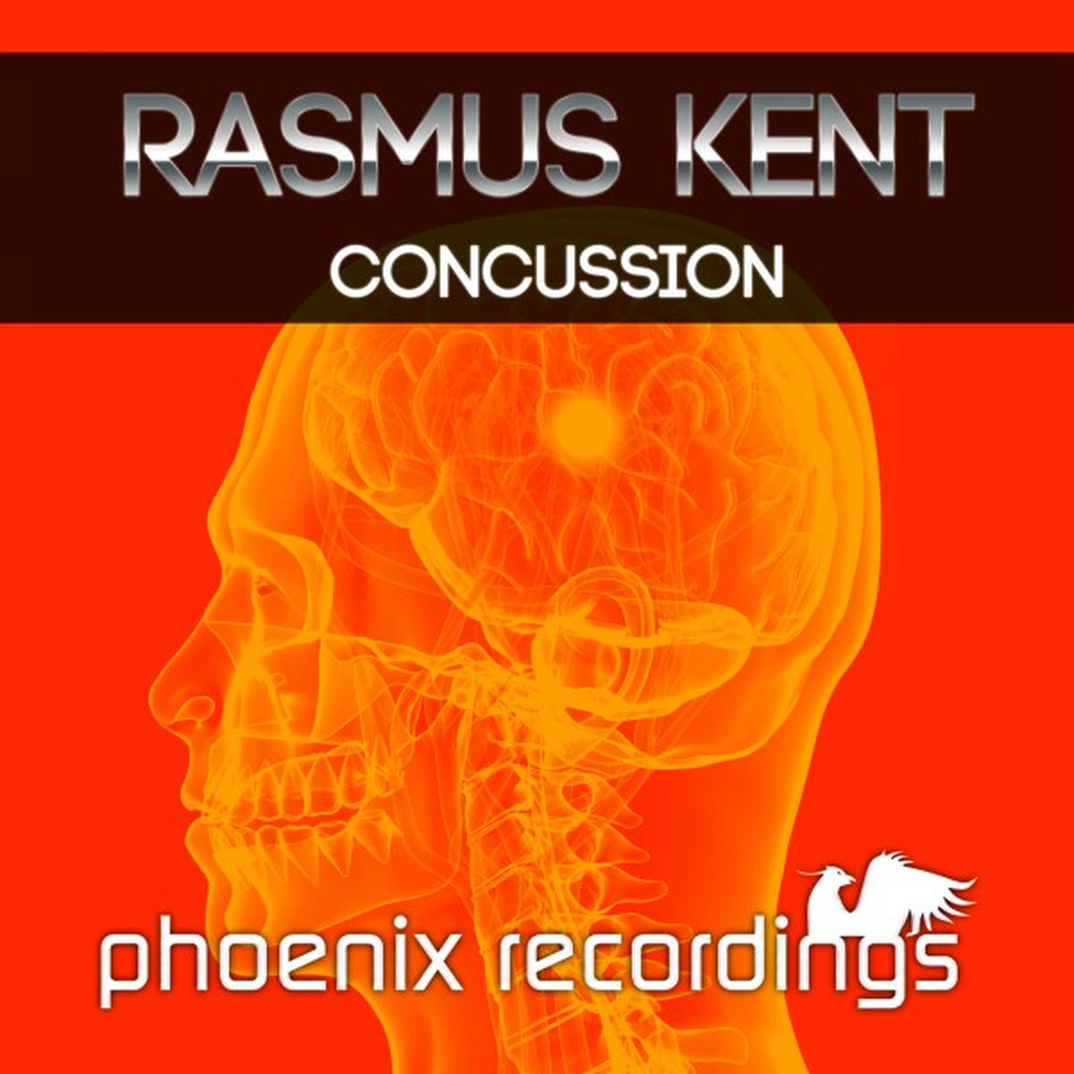 Album cover of Concussion