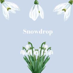 Cover of Snowdrop