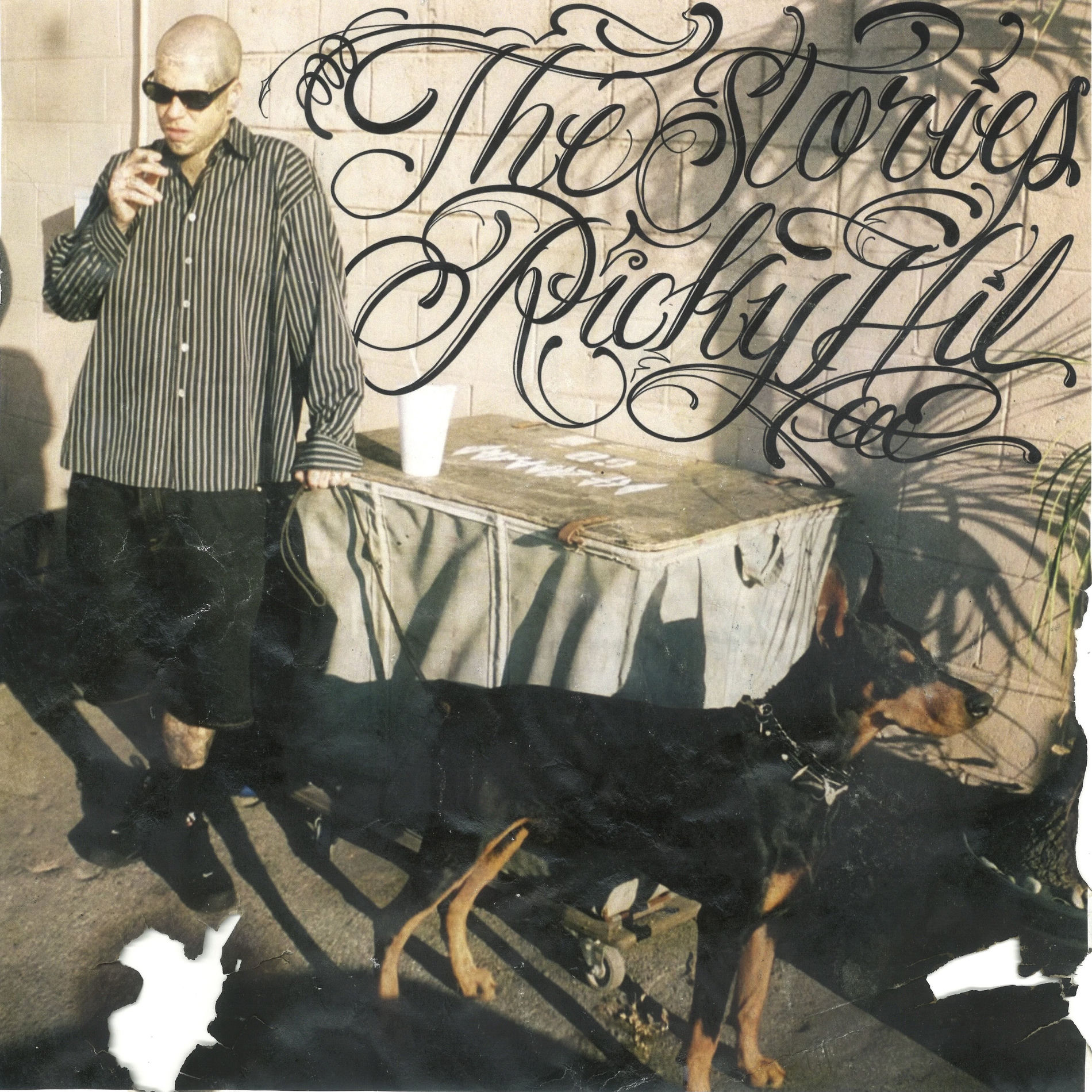 Album cover of The Stories