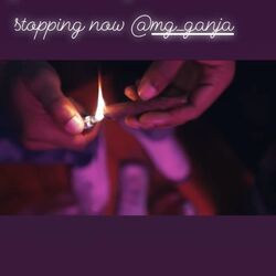 Cover of Cookies