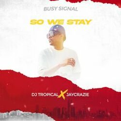 Cover of So We Stay
