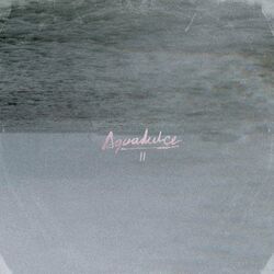 Cover of Aguadulce II