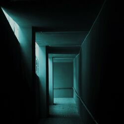Cover of Run