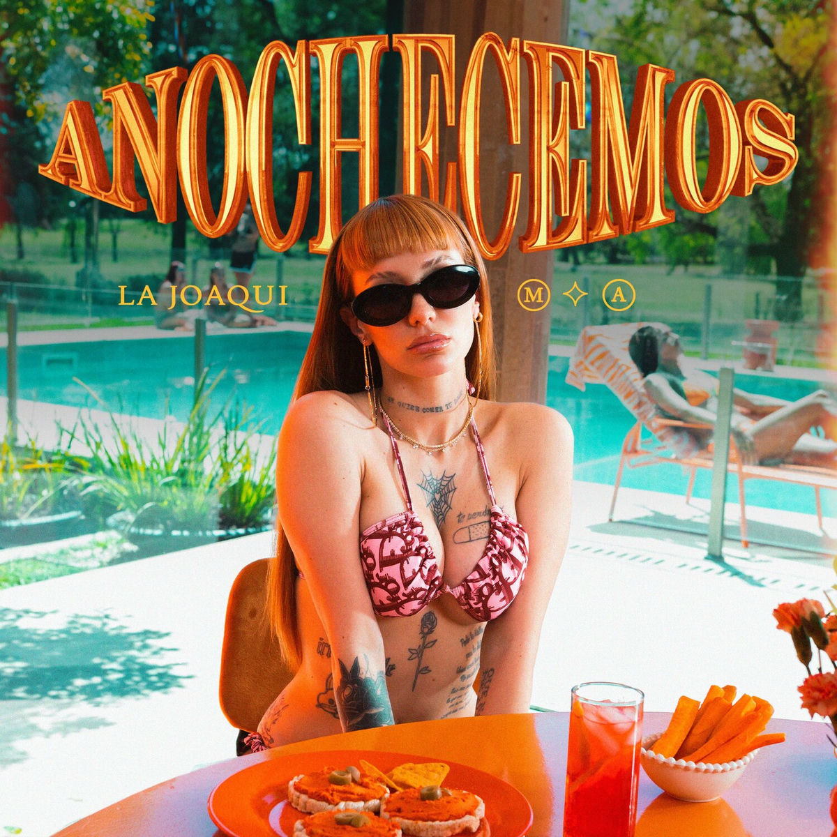 Album cover of Anochecemos