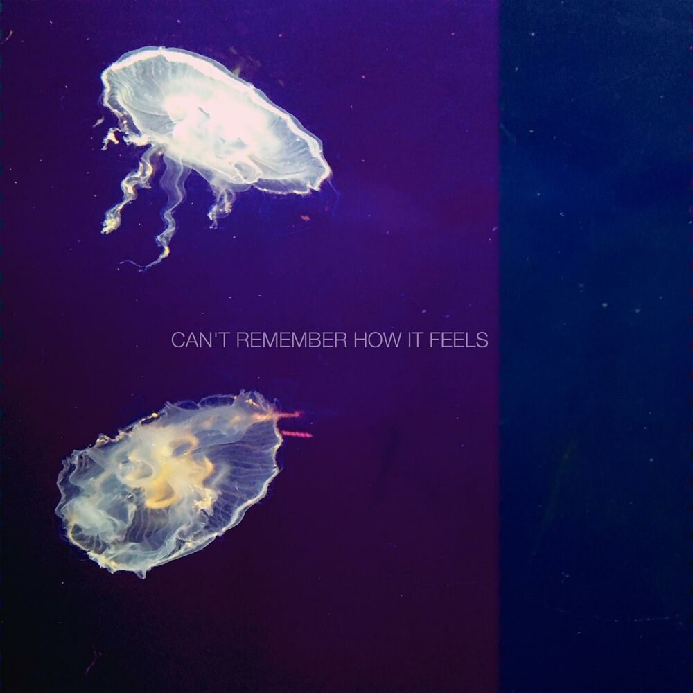 Picture of Can't Remember How It Feels