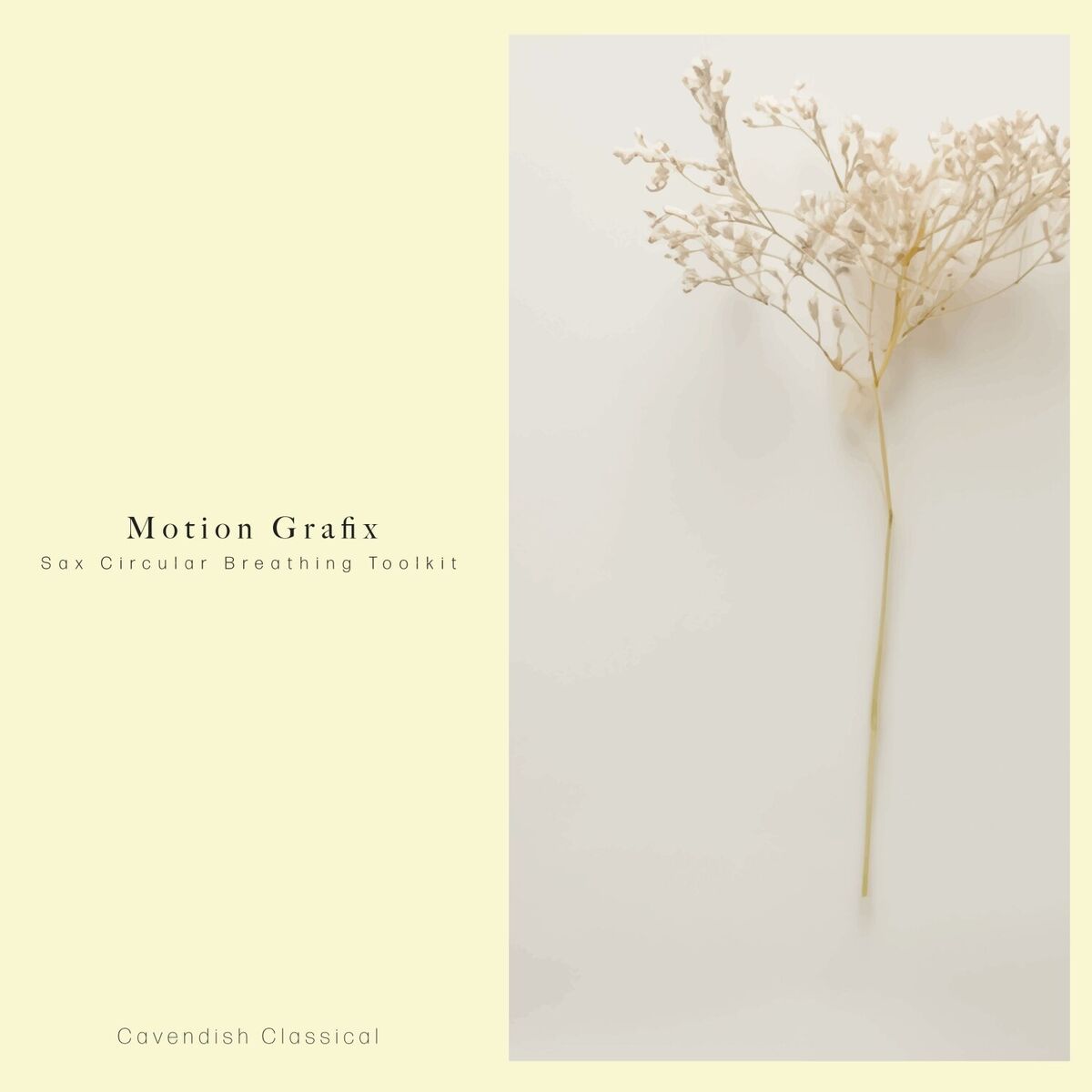 Album cover of Sax Circular Breathing Toolkit