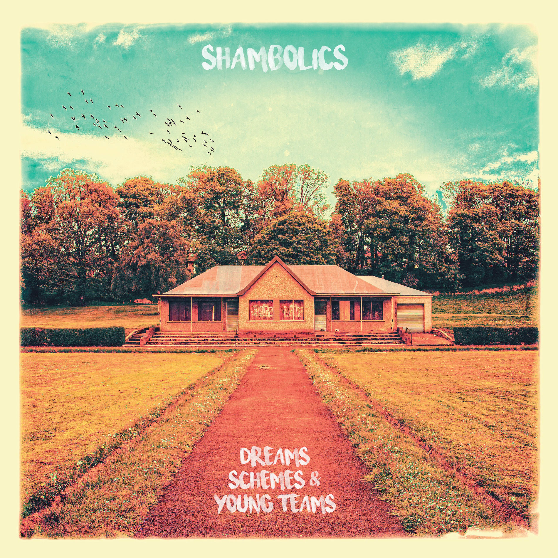 Album cover of Dreams, Schemes & Young Teams