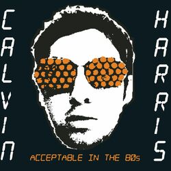Cover of Acceptable In The 80s