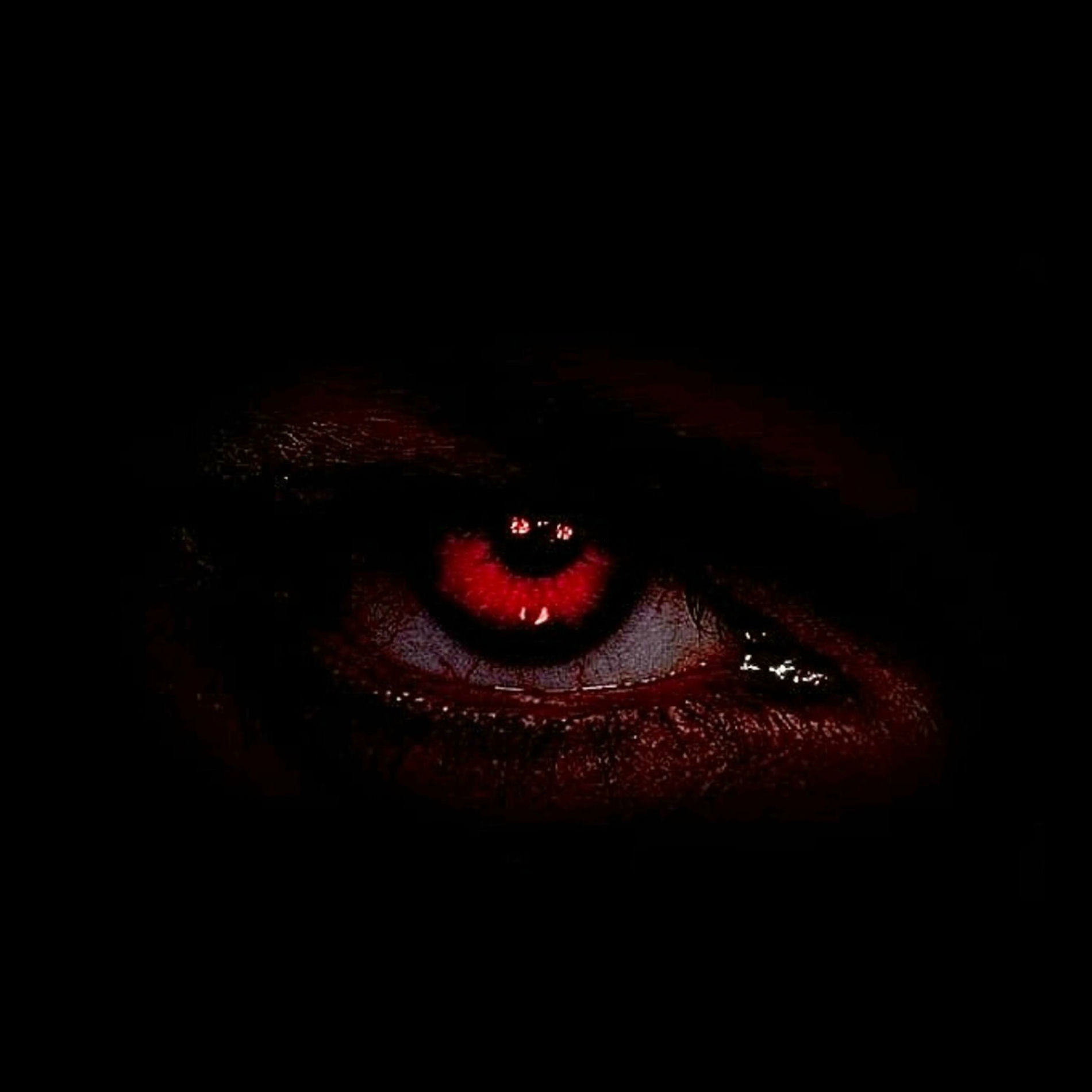 Album cover of ALL I SEE IS RED