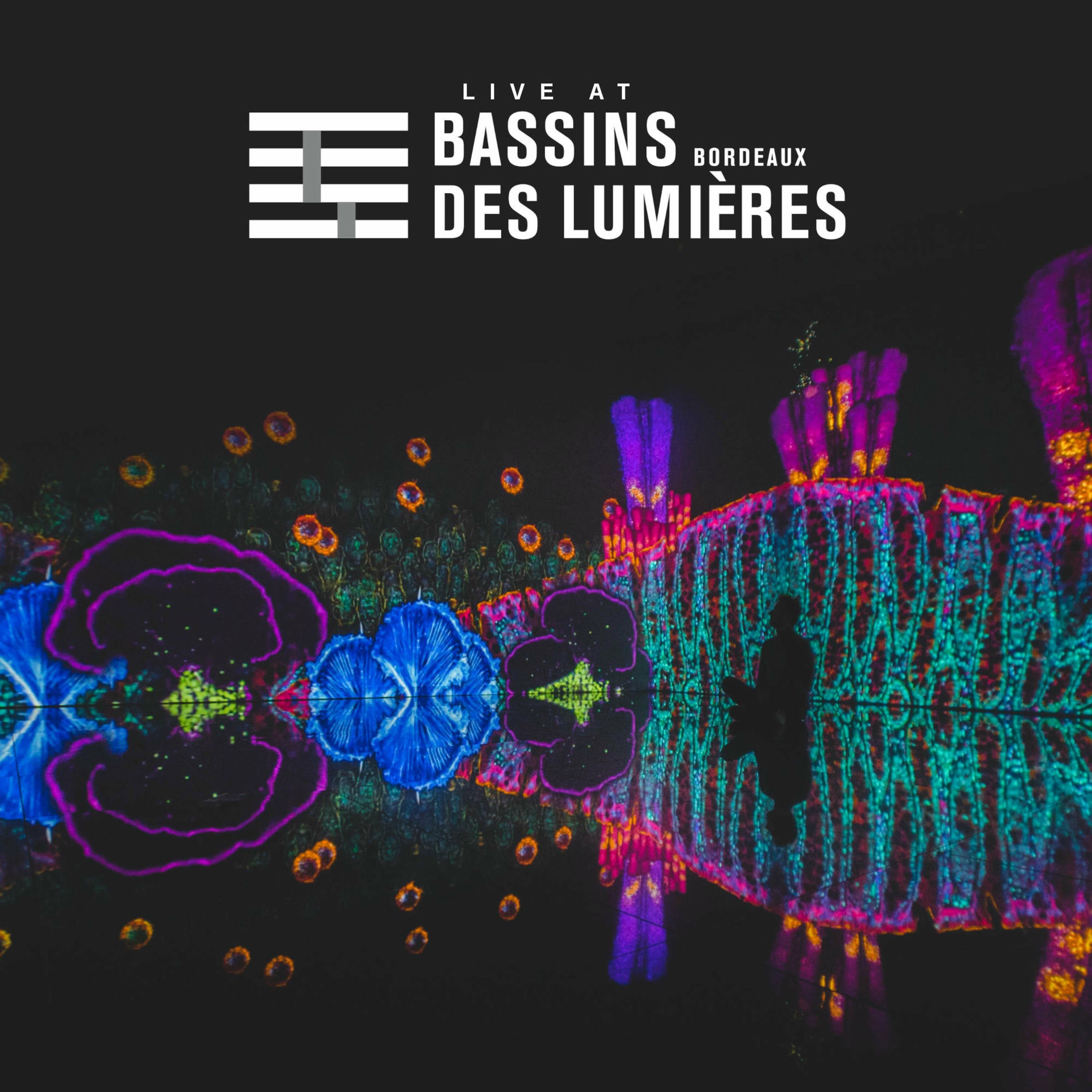 Album cover of Live at Bassins Des Lumières