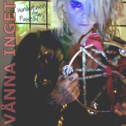 Cover of Hundratusenbitars pusselliv