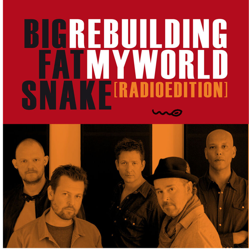 Picture of Rebuilding My World (Radio Edit)
