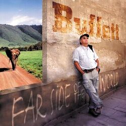 Cover of Far Side of the World