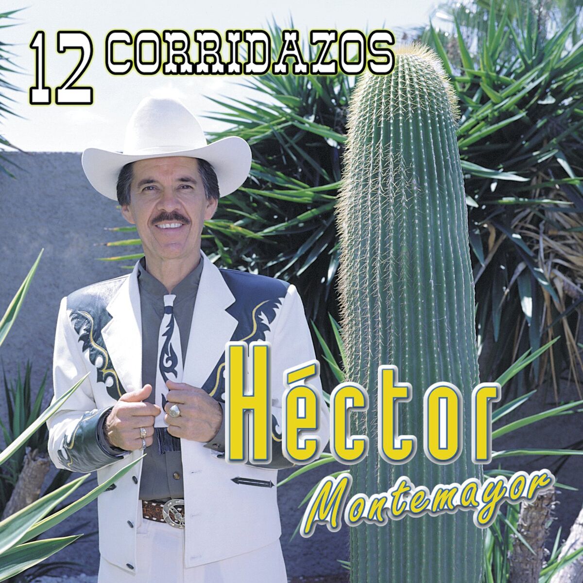 Album cover of 12 Corridazos