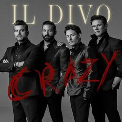 Cover of Crazy