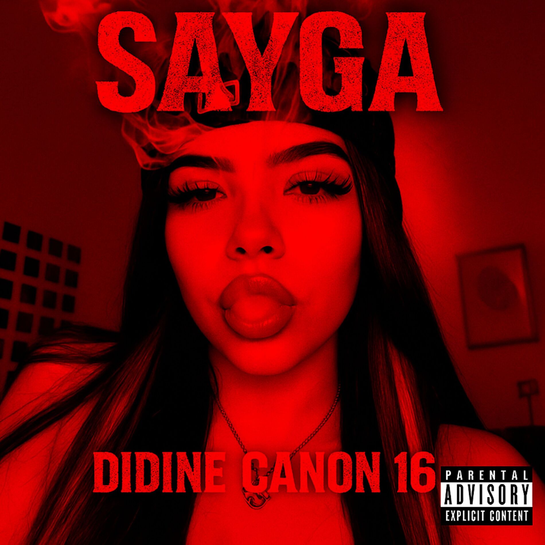 Album cover of SAYGA