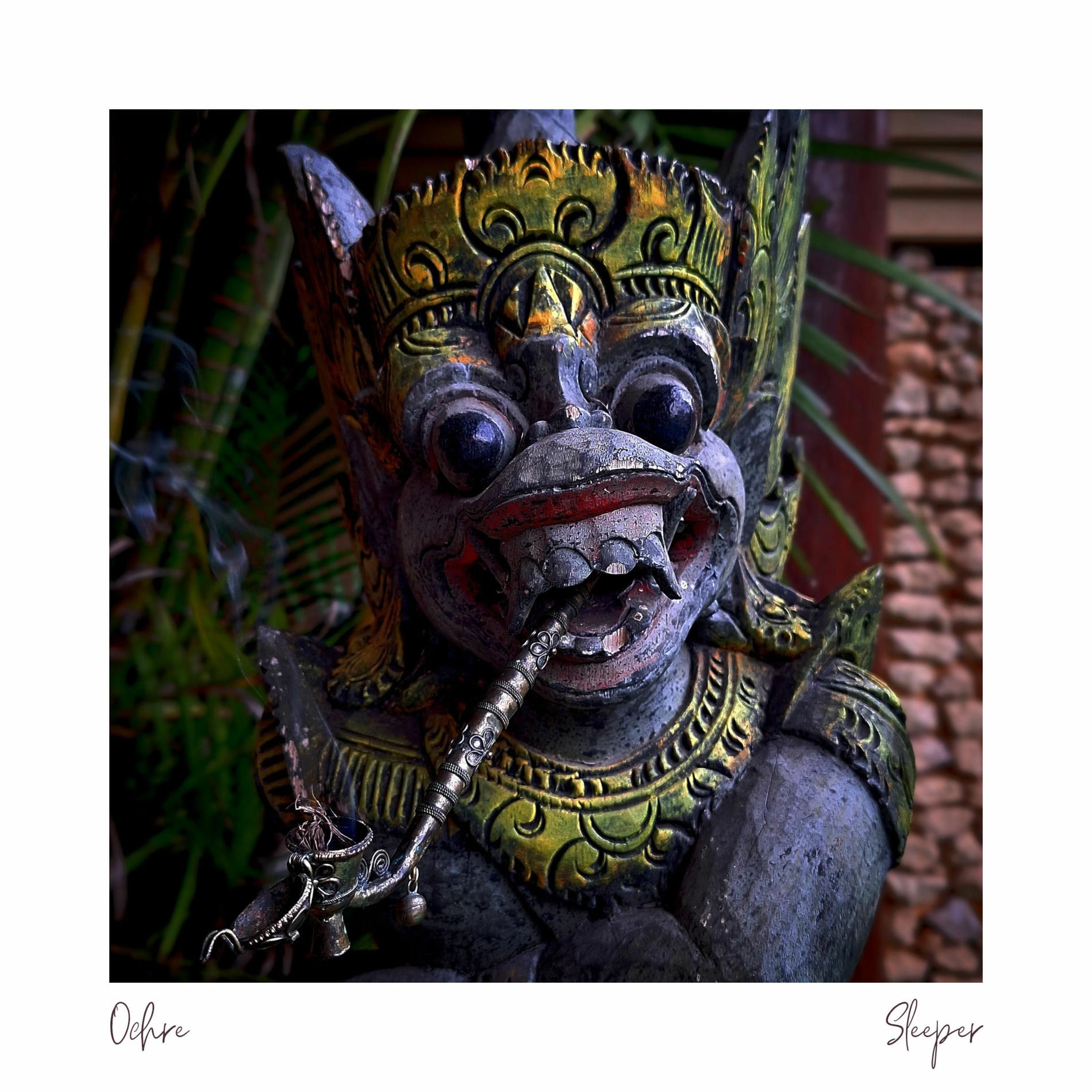 Album cover of Sleeper