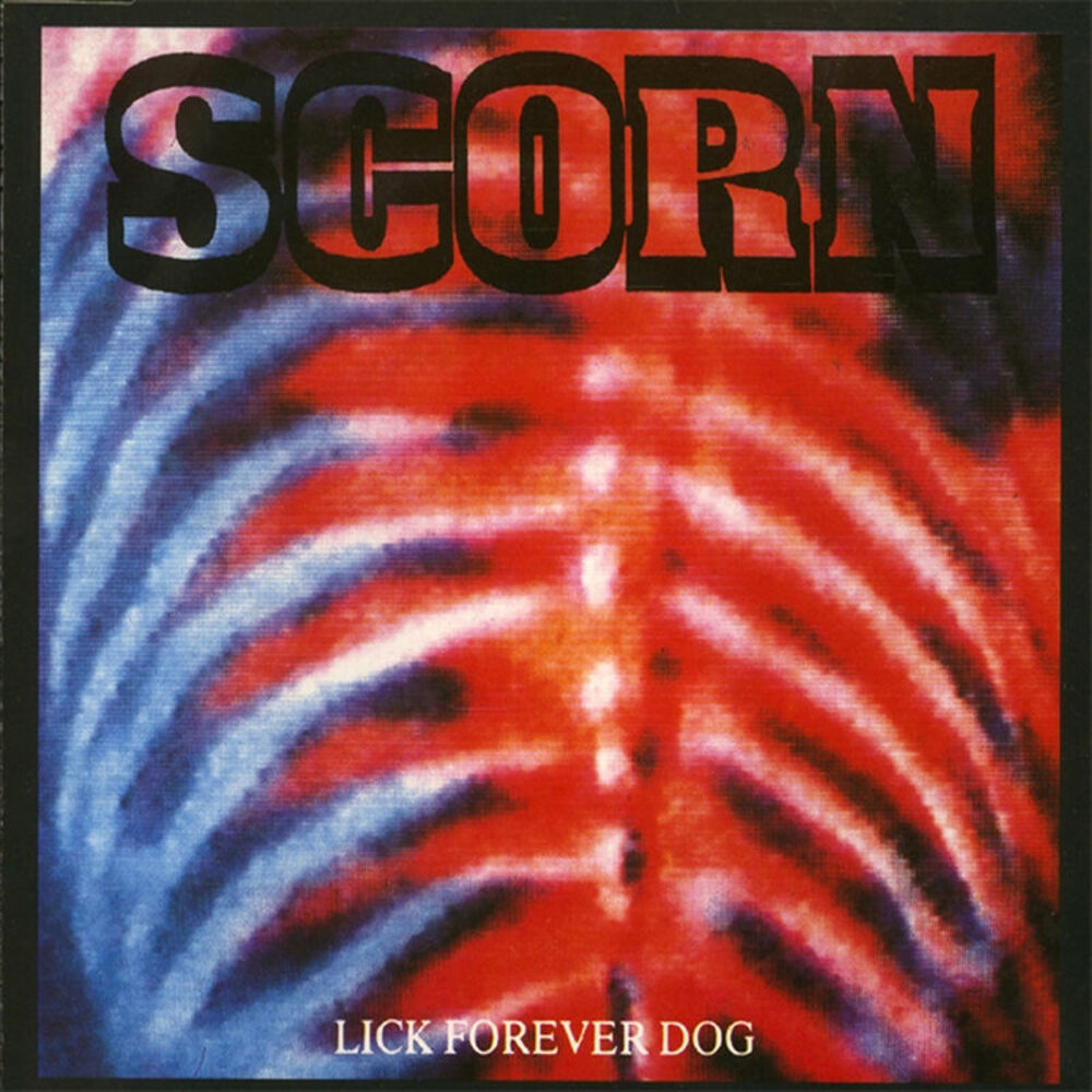 Picture of Lick Forever Dog