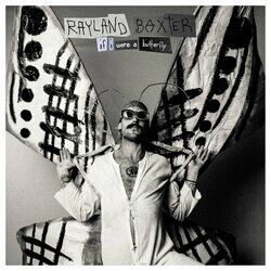 Cover of If I Were A Butterfly
