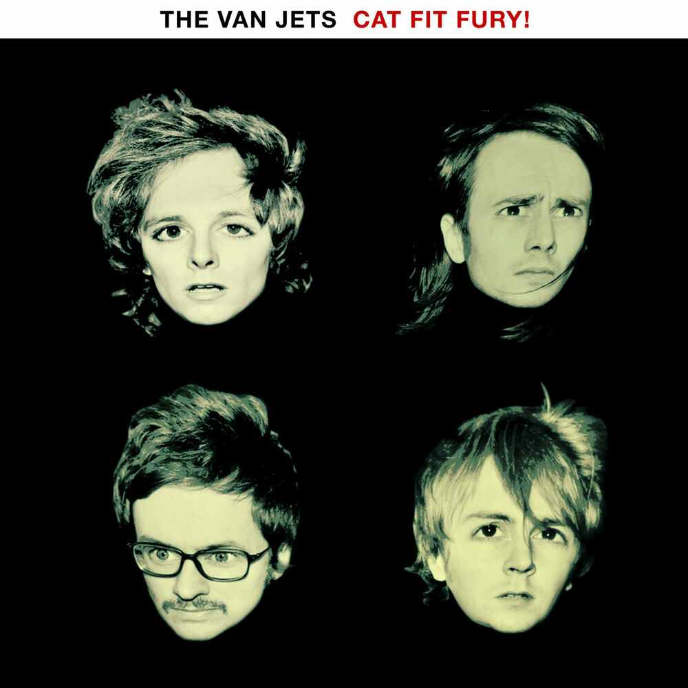 Picture of Cat Fit Fury!