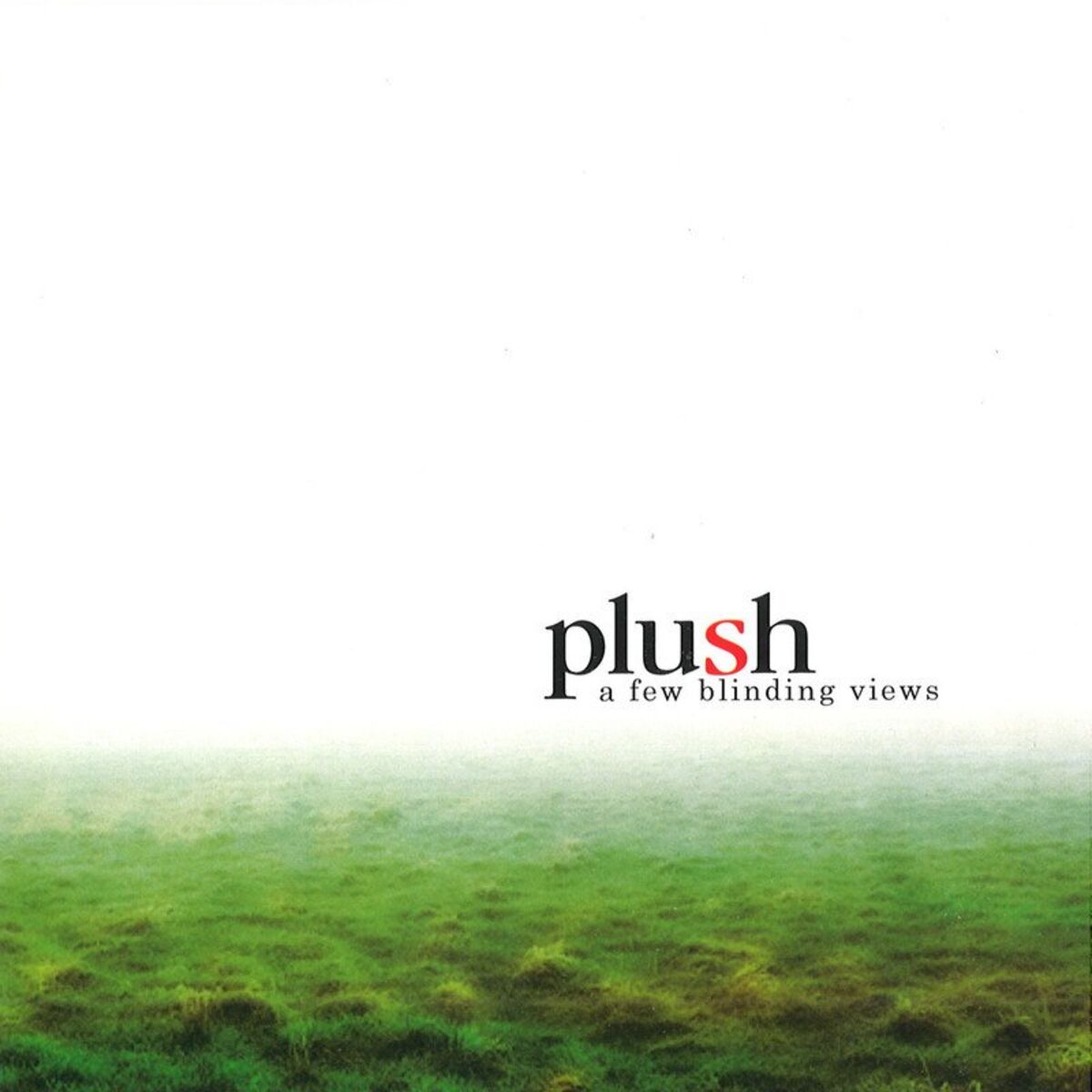 Album cover of A Few Blinding Views