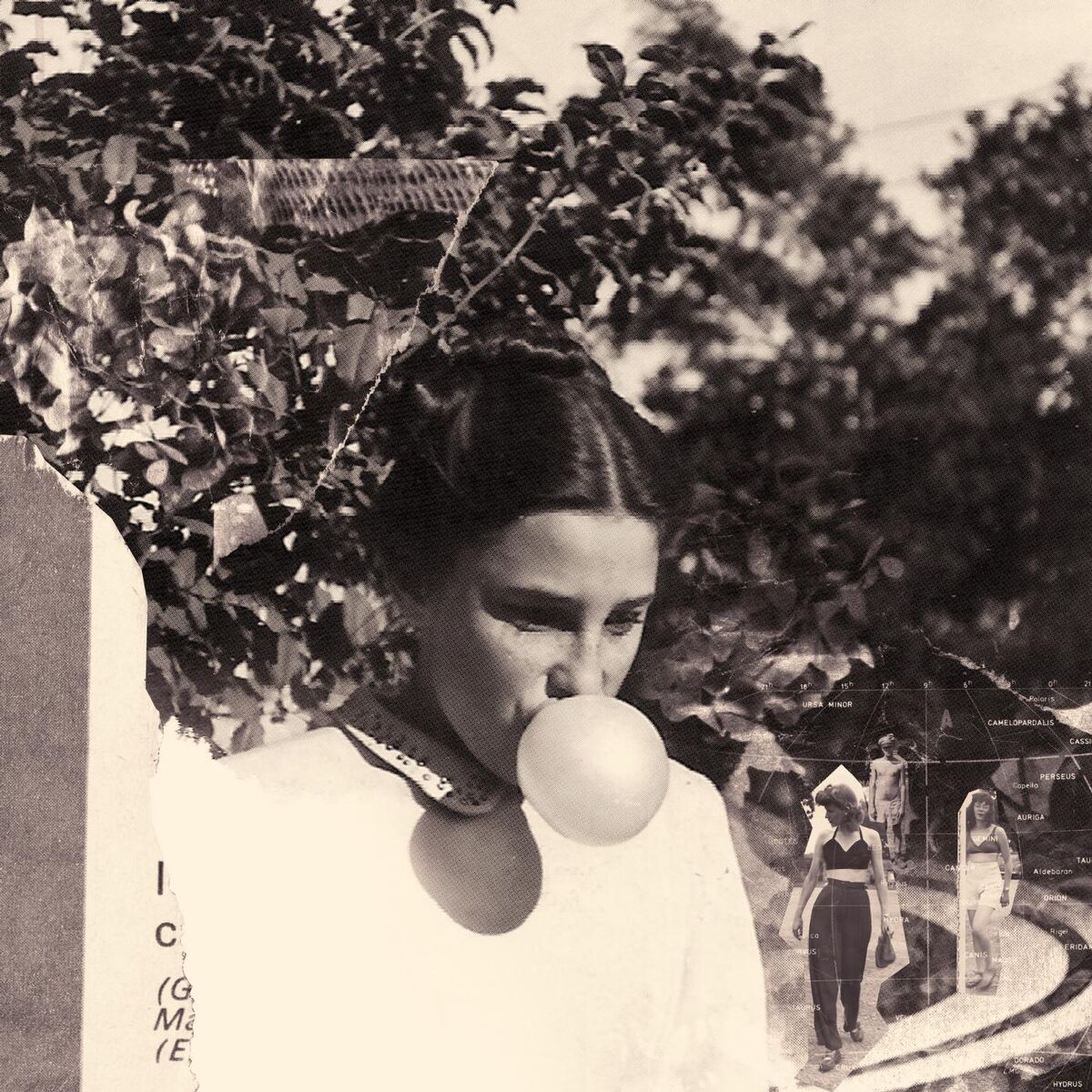 Album cover of Eight Houses
