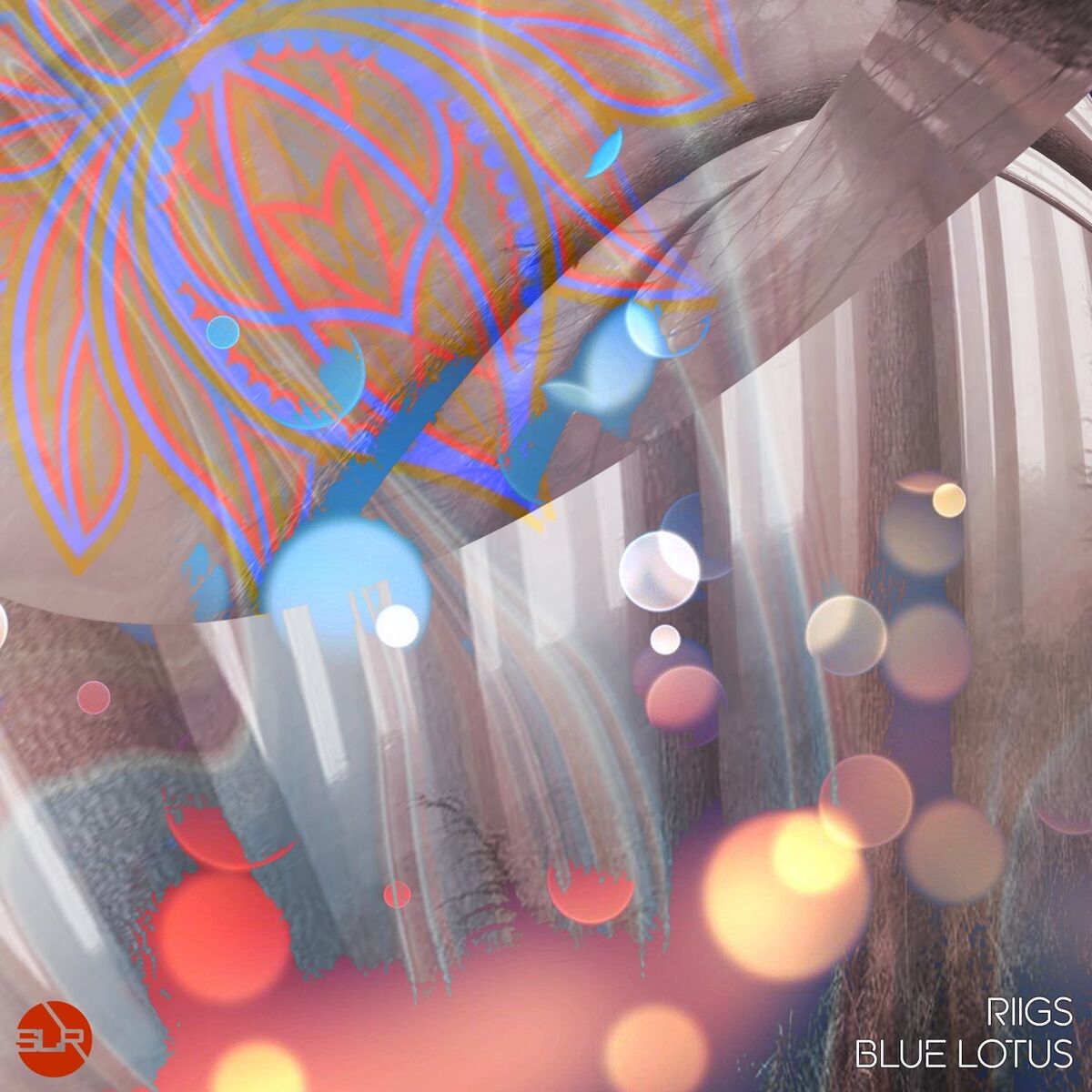 Album cover of Blue Lotus