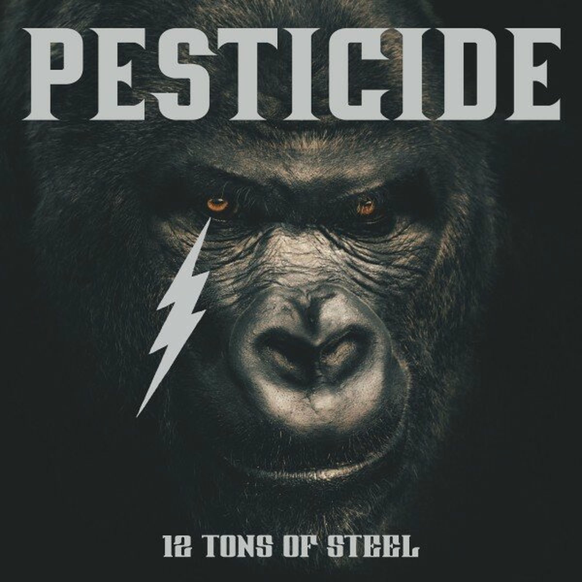 Album cover of 12 Tons of Steel