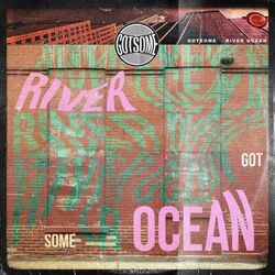 Cover of River Ocean