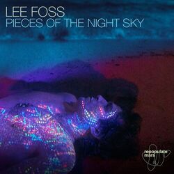 Cover of Pieces of the Night Sky