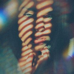 Cover of has anybody seen me?