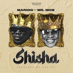 Cover of Shisha