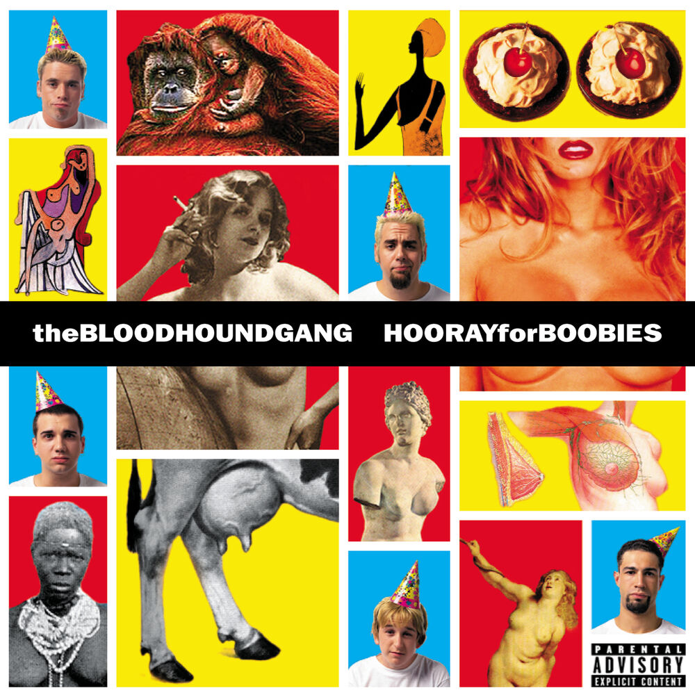 Picture of Hooray For Boobies