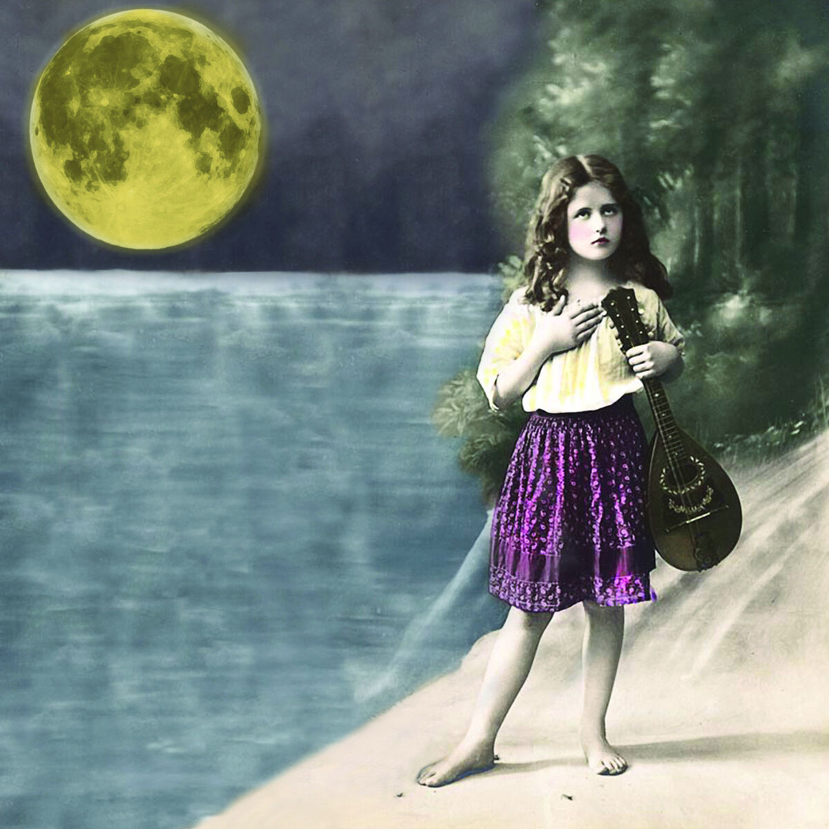 Album cover of The Big Black And The Blue