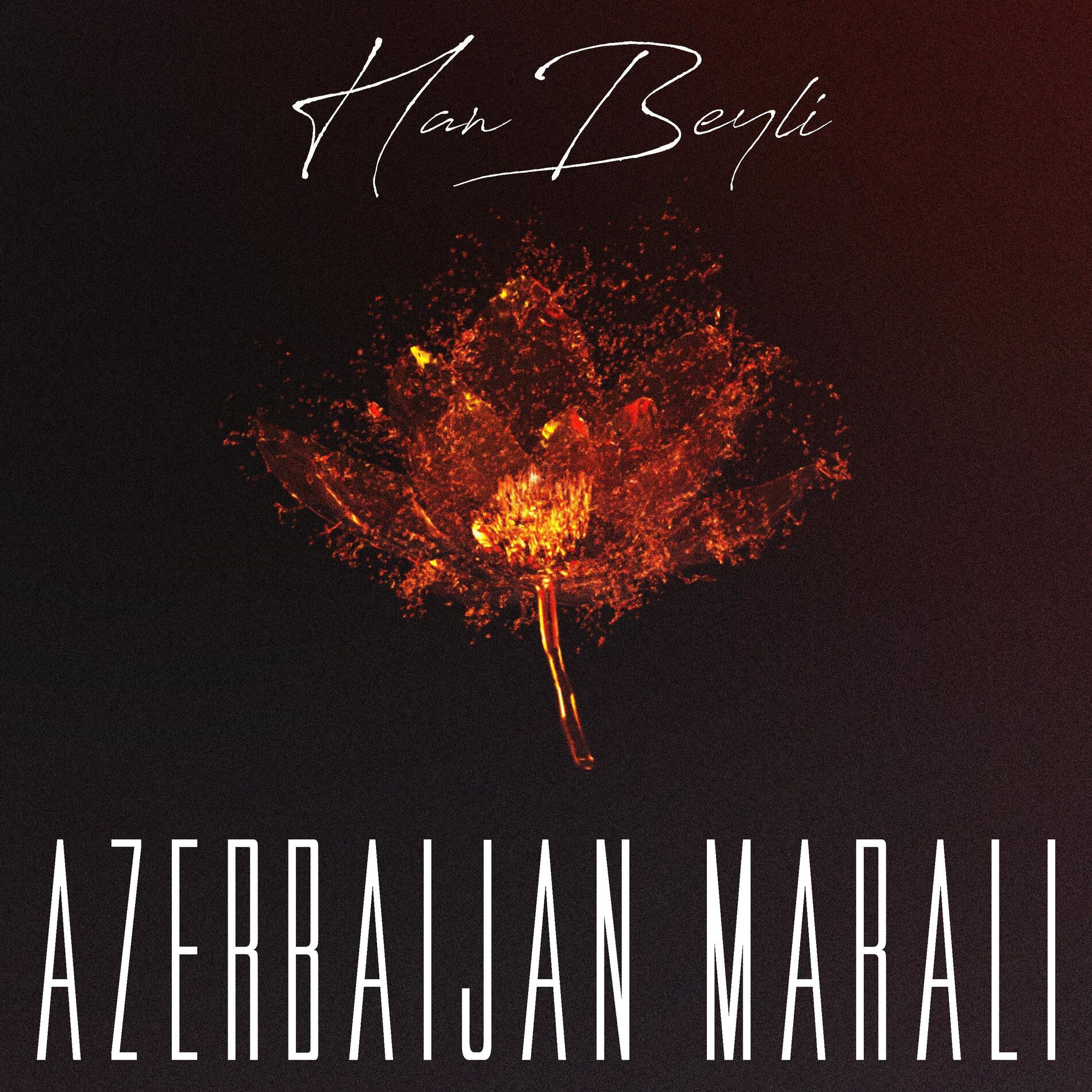 Album cover of Azerbaijan Marali