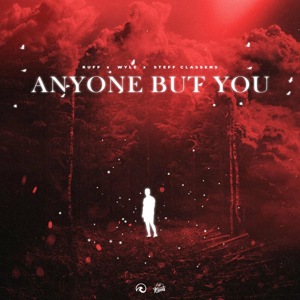 Picture of Anyone But You