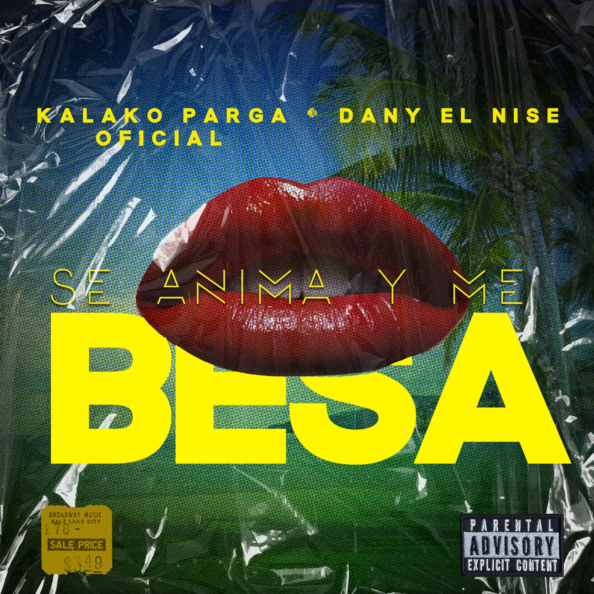 Album cover of Se Anima Y Me Besa