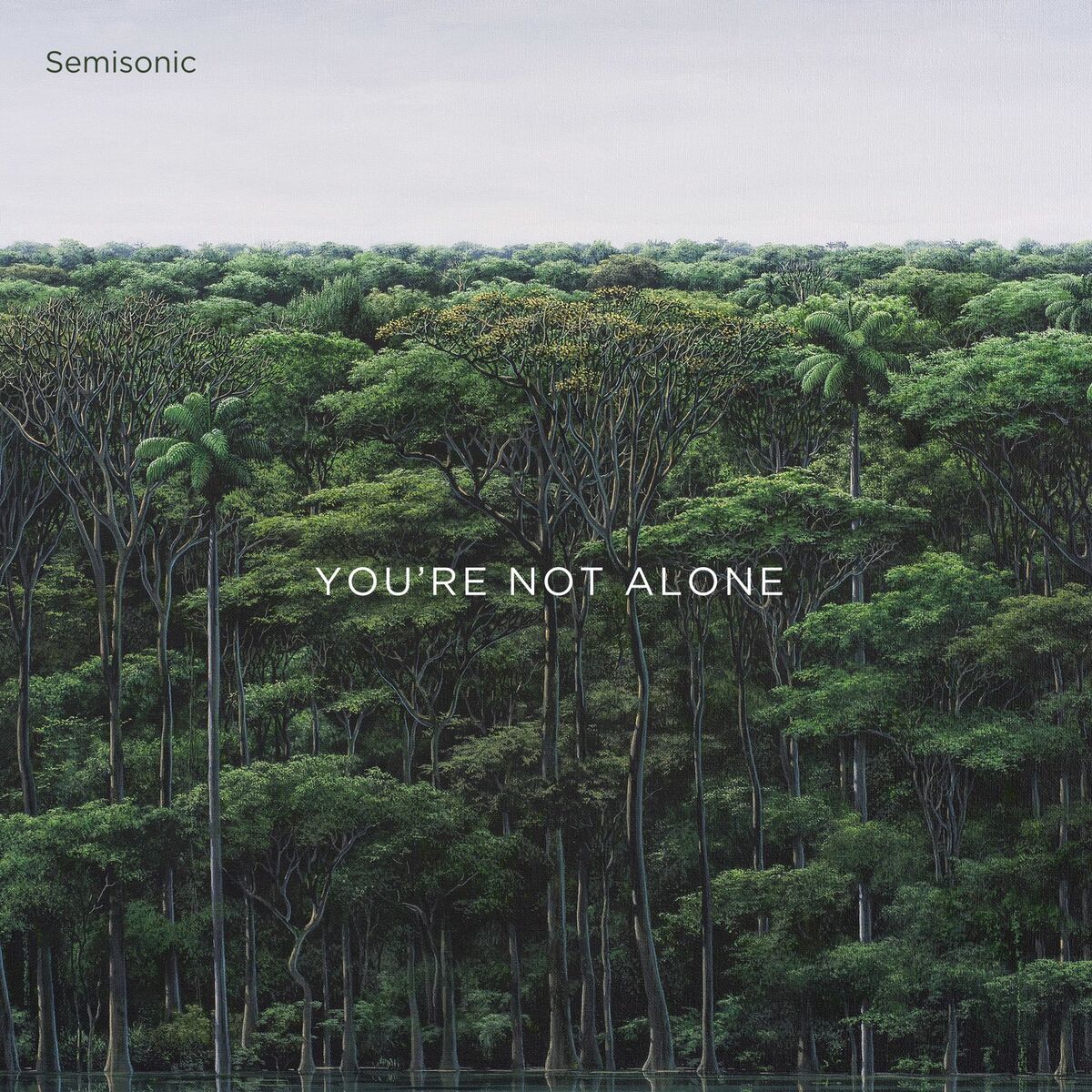 Album cover of You're Not Alone